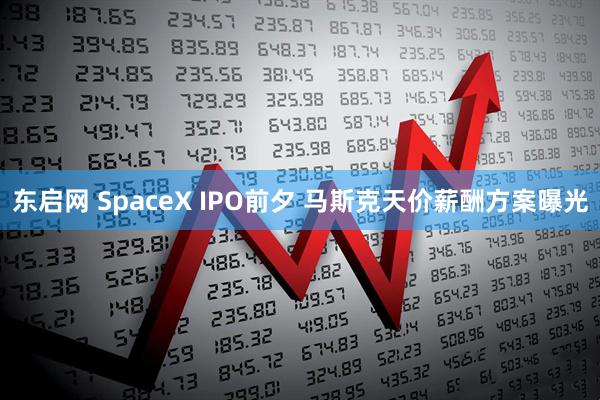 东启网 SpaceX IPO前夕 马斯克天价薪酬方案曝光